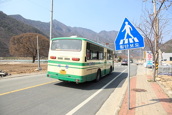  걷다가 축제장 가는 버스를 만났는데 이미 만원이라 서지 않고 바로 내달렸다.