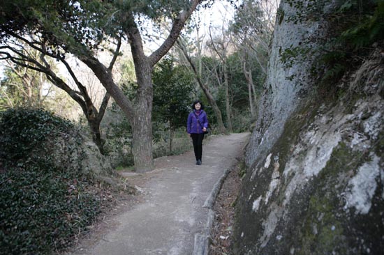 목포 유달산 산책로. 산속 길답지 않게 다소곳이 예쁘다.