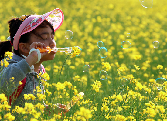 한 아이가 유채꽃밭에서 비누방울을 불고 있다.

