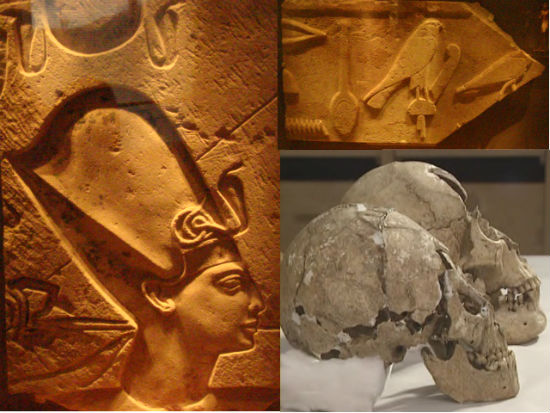 　　사진 왼쪽 위에서 시계방향으로, 람세스 이세 부조, 신성문자(Hieroglyphs)에 새겨진 새 모습, 그리고 김해 예안리 85호 무덤에서 나온 편두 흔적이 있는 머리뼈입니다.  