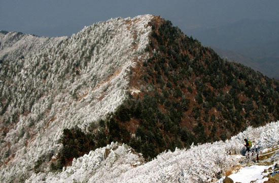 겨울과 가을의 힘겨루기. 원유헌 씨가 신문사 사진기자로 일하던 2010년 지리산 천왕봉 부근 중봉의 모습이다.