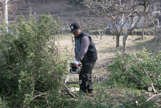 원유헌 씨가 전기톱을 들고 나뭇가지를 절단하고 있다. 원씨는 일간지 사진기자로 일하다 지난 2011년 8월 귀농했다.