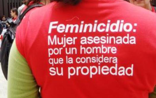 도미니카공화국의 여성살해 반대 캠페인에서 여성살해의 문제를 알리고 있는 한 여성의 조끼 문구