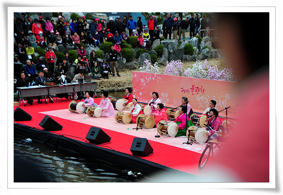 불광천 벚꽃 축제 모습