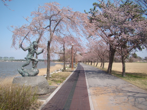 "여기도 홍길동이 있네?" 소나무와 벚꽃이 어우러진 경포호숫가 산책길에 홍길동 동상이 서 있다.