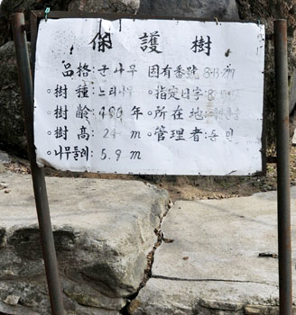충남 예산군 예산읍 간양리보호수 앞의 방치된 표지판.
