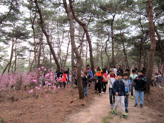 18일 소나무 숲 진달래 동산의 첫손님 초등학생 어린이들