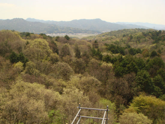  숲 속에는 연구용 감시탑(높이 25m)이 있습니다. 이곳에 올라가면 멀리 마을이 보입니다. 이곳 마을 주변 산은 1300년 전 나라 동대사를 지을 때 필요한 나무를 베어낸 뒤 1900년대 처음 산림 녹화를 계획적으로 시작한 곳입니다.