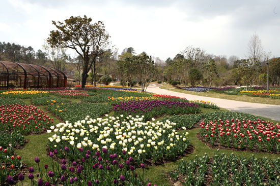 꽃과 나무가 어우러진 나무도감원. 순천만국제정원박람회장에서는 세계 여러 나라의 꽃과 나무를 볼 수 있다.