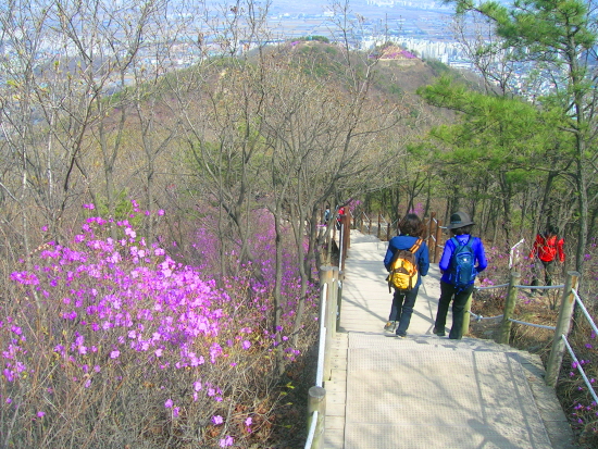 샛길로 오르는 사람이 보인다. 