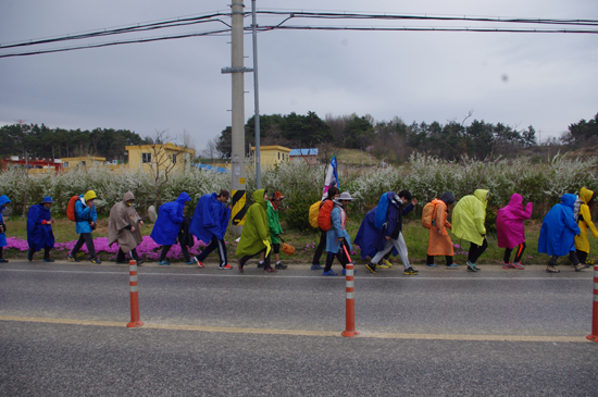 성미산학교 중등 친구들이 울진을 관통해 걷고 있다.