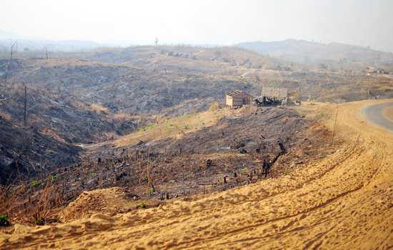 버마 중부 지역 산이 대부분 불타고 있습니다. 생계난에 큰 나무들은 ‘숯 만들기’로 사라지고, 관목과 대나무뿐인 산들. 산림청이 태워버리고 다른 나무를 심는 중.
