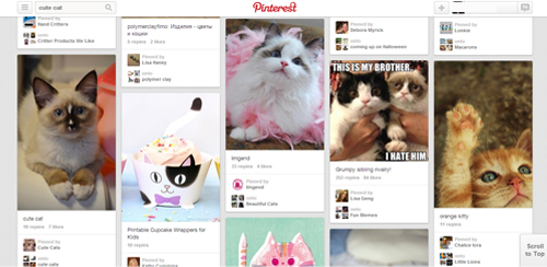 핀터레스트에서 'cats'를 검색하면 다양한 고양이 이미지를 찾을 수 있다.