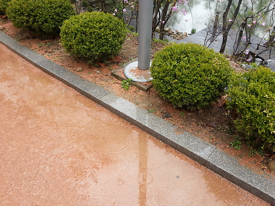 최근 비가 자주 내리면서 서울의 지난달 강수일수는 15일을 기록했다.