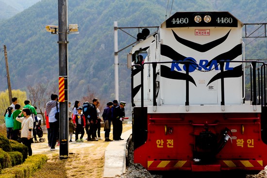 화사한 외관의 협곡열차가 관광객들의 시선을 사로잡는다.