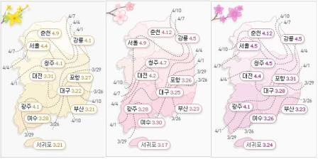 2013년 기상청 발표 개나리-벚꽃-진달래 개화예상표