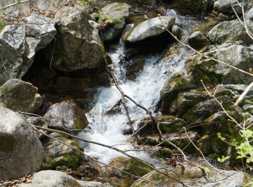 치악산 영원사 계곡 물