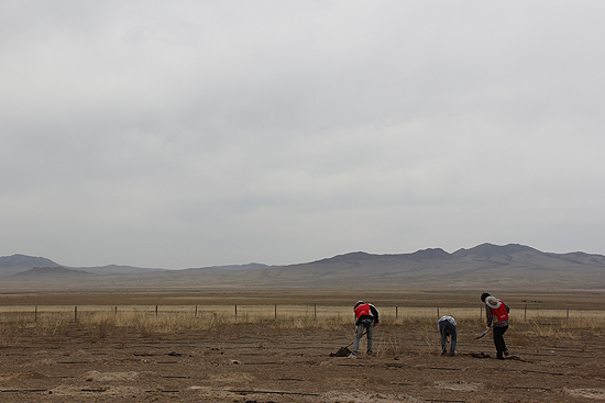 지난 11일 몽골 룬솜 지역의 한 벌판에서 자원봉사자들이 몽골 사막화 방지 나무 심기를 하고 있다. 민둥산에서 황사바람이 불어오고 있다. 