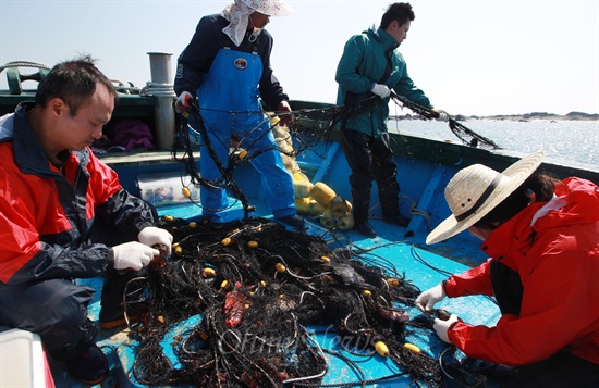  고준철 국립수산과학원 아열대수산연구센터 연구사와 연구원들이 14일 오전 제주 서귀포시 가파도 남쪽 앞바다에서 아열대 어종 서식 실태조사를 벌이고 있다.