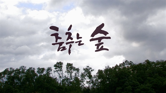  다큐 <춤추는 숲>은 서울 마포 성미산 마을 사람들의 눈물 겨운 성미산 지킴이 활동을 그렸다. 