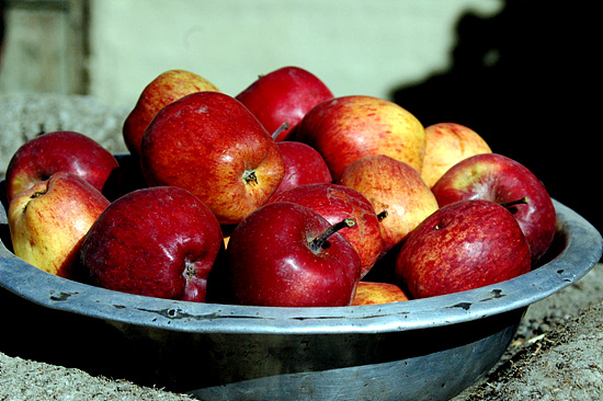 브라탕 마을의 사과