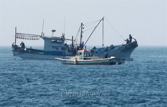 14일 오전 제주 서귀포시 가파도 남쪽 앞바다에서 어민들이 자리돔을 잡기 위해 조업을 하고 있다.