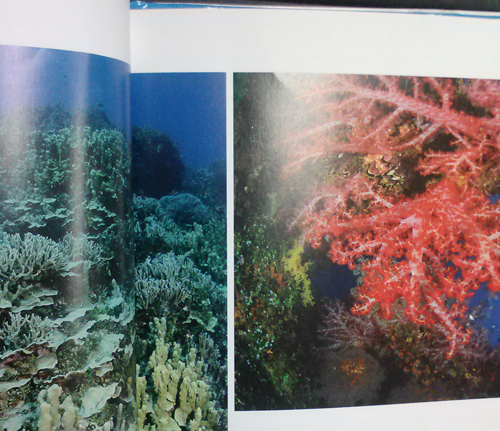 책 속에 담긴 산호초 사진