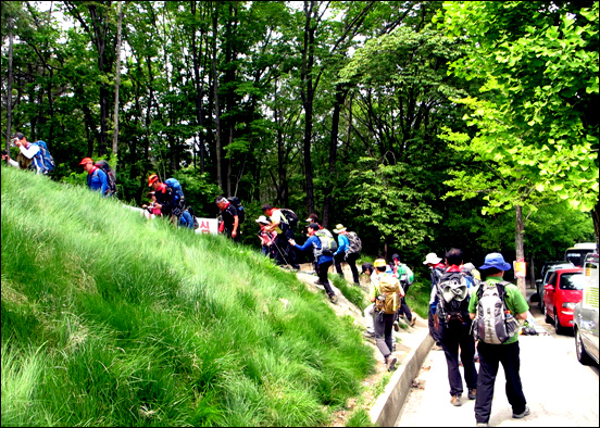 서울대 공학관 인근에서 자운암 능선을 타고 관악산 정상에 오르기 위하여 일행들이 산행을 시작하고 있다. 일부 회원님들은 계곡 트래킹을 하기 위해 계곡 산행을 하게 된다. 