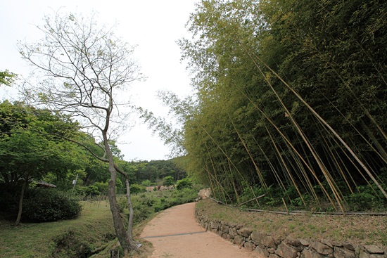 철감선사 승탑으로 가는 대나무숲길은 그 옛날 초의선사가 걷던 길이기도 하다.