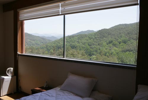 강빛마을의 2층 민박집에서 바라본 창밖 풍경. 신록이 우거져 있다.