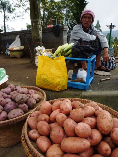 감자와 고구마를 팔고 있었던 농부.인니어로 계속 감자를 사라고 권하고 있다.