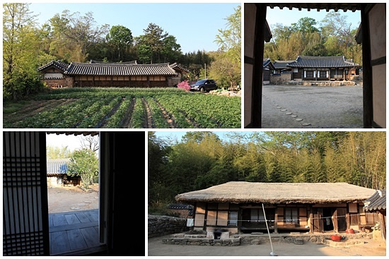 강골마을에는 중요민속자료가 4곳이나 있다. 사진은 왼쪽부터 시계방향으로 이금재 가옥, 이용욱 가옥, 이식래 가옥이다.
