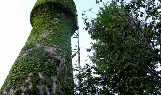 초록의 풀들이 6.25 전쟁의 총탄 흔적을 감싸주고 있는 연천역 급수탑. 