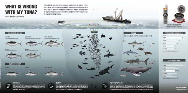  그린피스 동아시아 서울사무소는 9일 <한국에는 없는 착한 참치> 보고서를 발간, 국내 참치업체들의 환경파괴적 어업 현황을 비판했다.