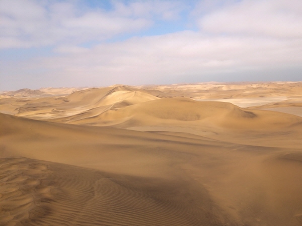바다를 향해 끝없이 펼쳐진 나미브 사막