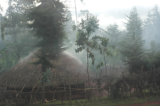 집에서 피어오르는 푸른 연기와 안개로 몽환적인 분위기를 연출하고 있는 에티오피아 시골의 아침