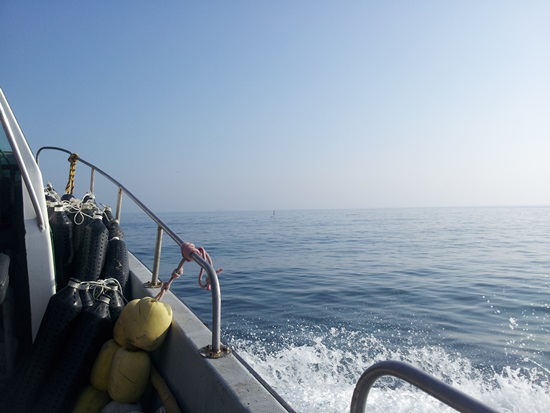 지인과 함께 1박2일 어부체험을 하기 위해 통발을 실은 배에 탔다. 