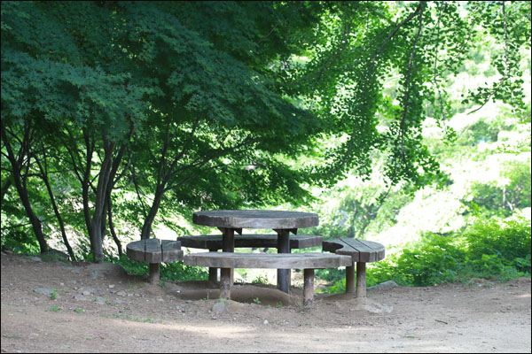 짙푸른 나무아래 놓여진 탁자와 의자는 쉼터, 내 삶의 숲에는 이런 쉼터가 있는가?