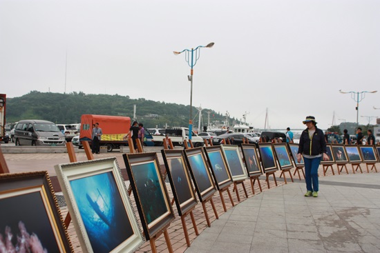 ‘2013 바다살리기 여수 발대식 및 실천대회’가 열린 여수시 종화동 해양공원에 전시된 수중사진을 한 시민이 구경하고 있다.
