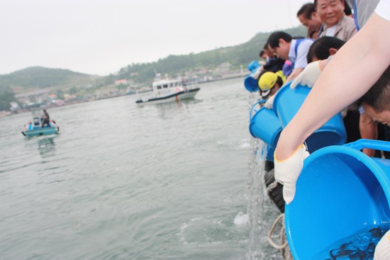 참석자들이 감성돔 치어 5만 마리를 바다로 방류하고 있다.