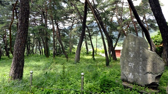 마을 어귀에서 손님을 맞이해 주는 송계숲. 