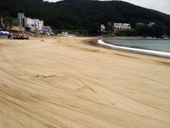 황금모래 밭인 거제도 '와현모래숲해변' 해수욕장.
