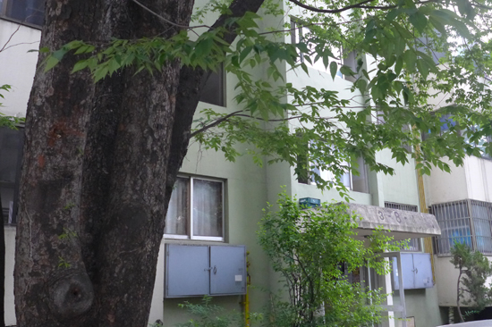 안양1동 진흥아파트 단지내에 있는 이승만 대통령 기념(기증) 식수 느티나무, 이 자리는 1950년대 태평방직이 있던 자리다.
