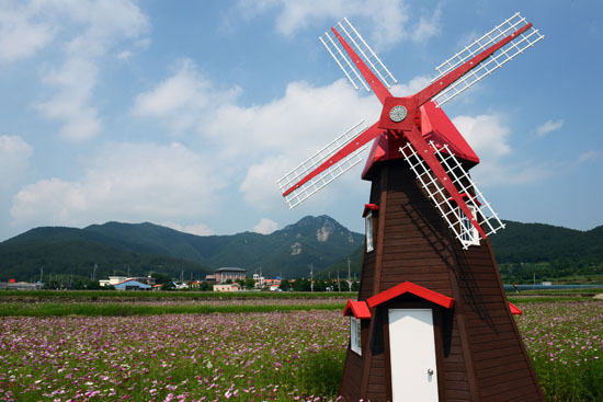 풍차 거제 둔덕골 '청마꽃들'에 선 풍차. 코스모스와 파란 하늘을 배경으로 잘 어울리는 아름다운 풍경을 연출하고 있다.