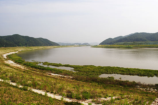 나무 한 그루 찾아보기 힘든 남한강.