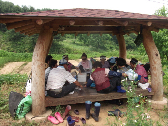 원두막에 옹기종기 모여 앉아 점심을  먹는 정겨운 풍경