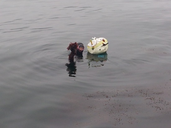 오동도의 마지막 해녀 신한점 할머니가 물질을 한후 채취한 해산물을 보이고 있다.