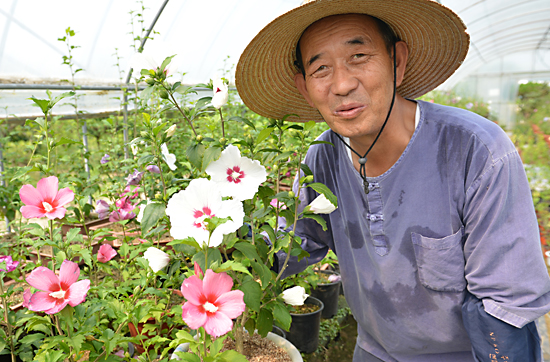 충북 음성군 원남면에서 대봉수목원을 운영하는 송석응(61)씨가 무궁화 꽃을 소개하고 잇다.
