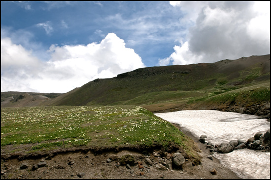 백두산은 봄과 겨울이 공존한다. 좌측은 꽃이 피어 있고 우측은 두터운 잔설이 남아 있다.