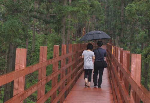 장흥 편백숲 우드랜드에 설치돼 있는 나무데크 길. 이른바 무장애 데크로드를 따라 한 연인이 우산을 쓰고 걷고 있다.